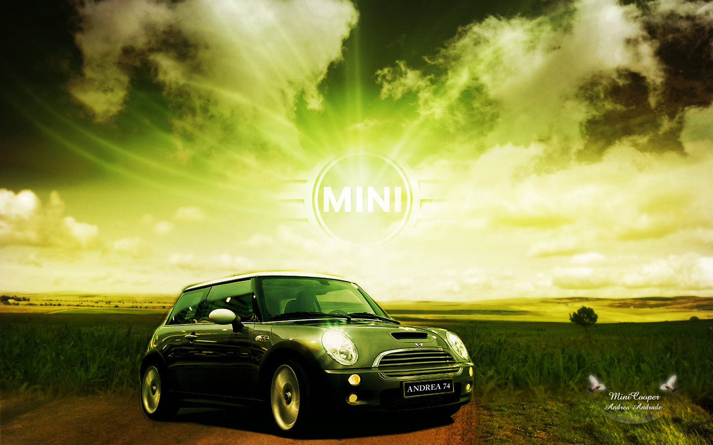 Mini Cooper 1440x900