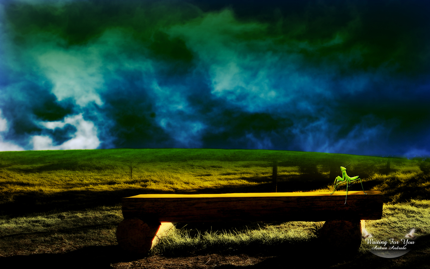 Waiting for you 1440x900