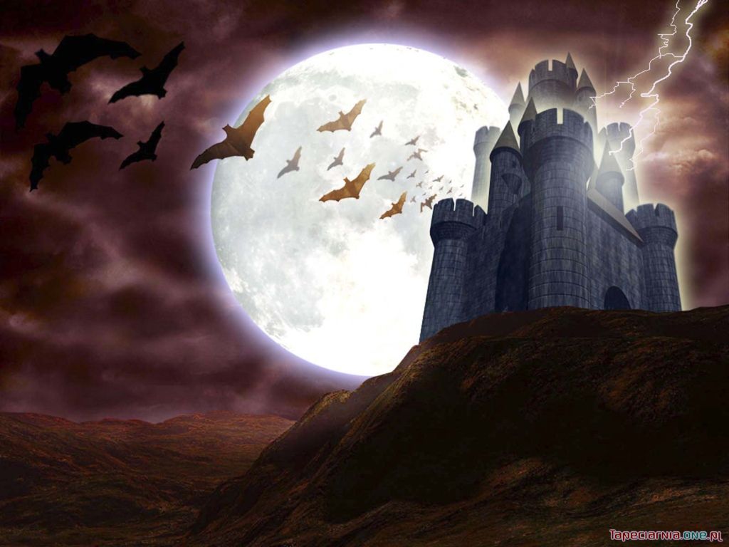 Halloween 016