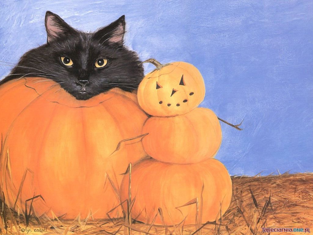 Halloween 017