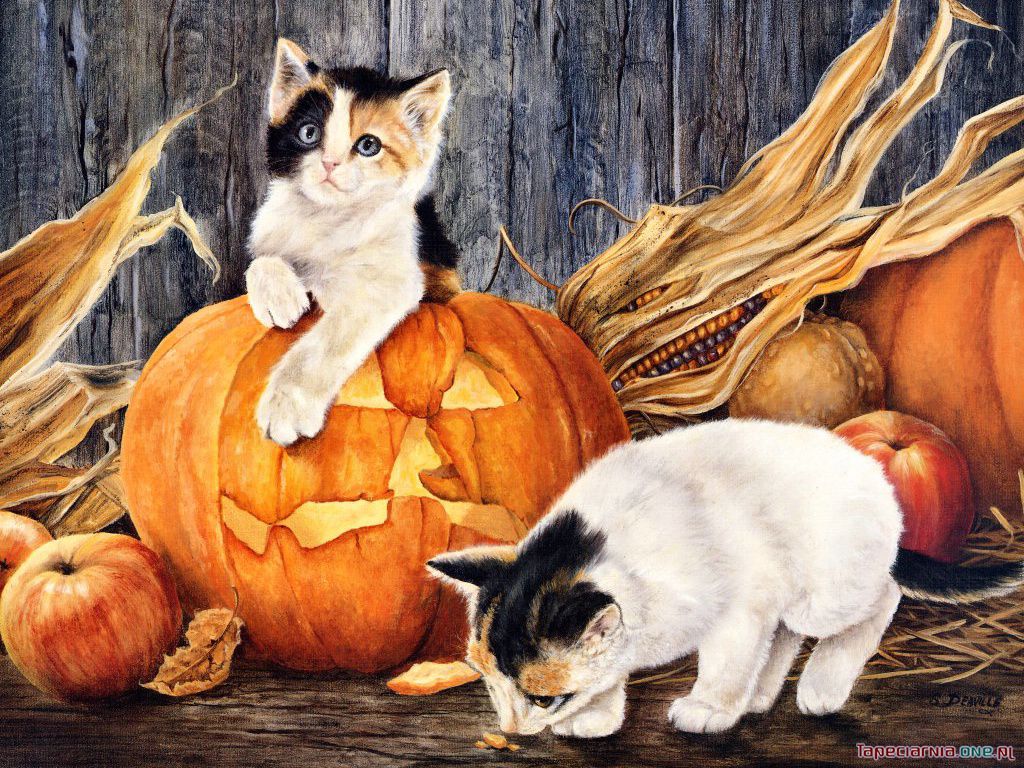 Halloween 018