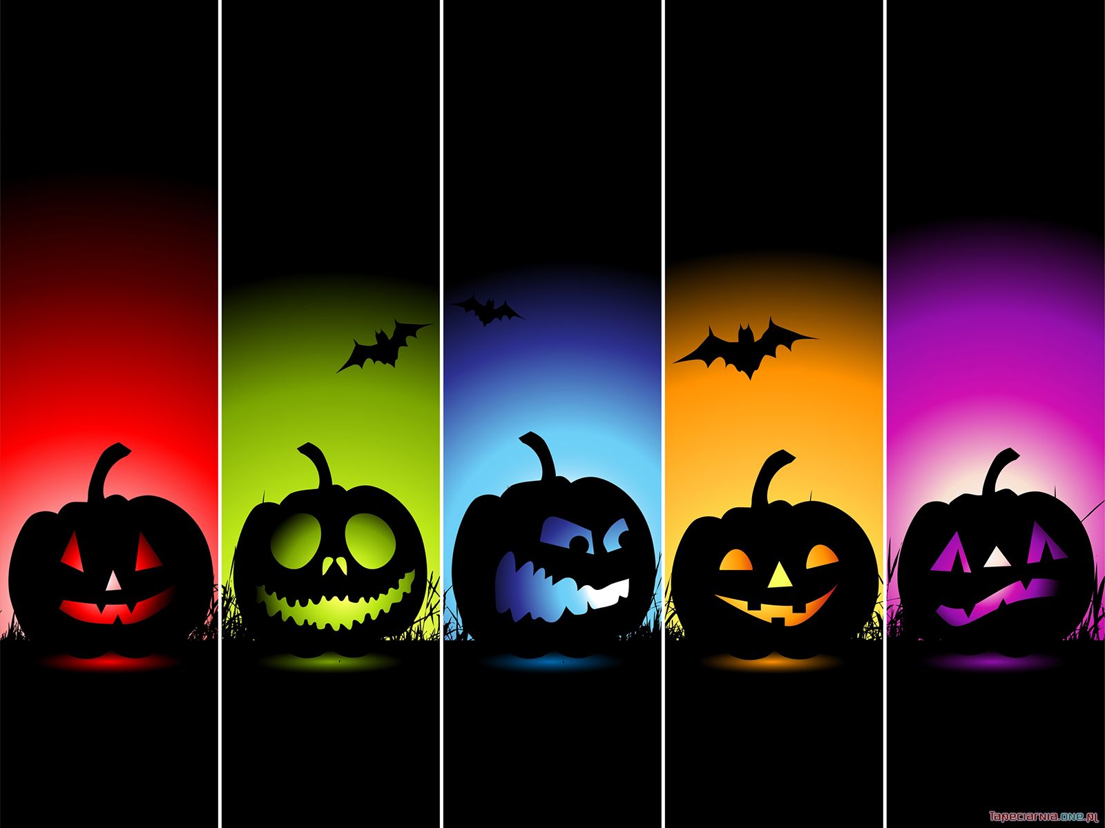 Halloween 031