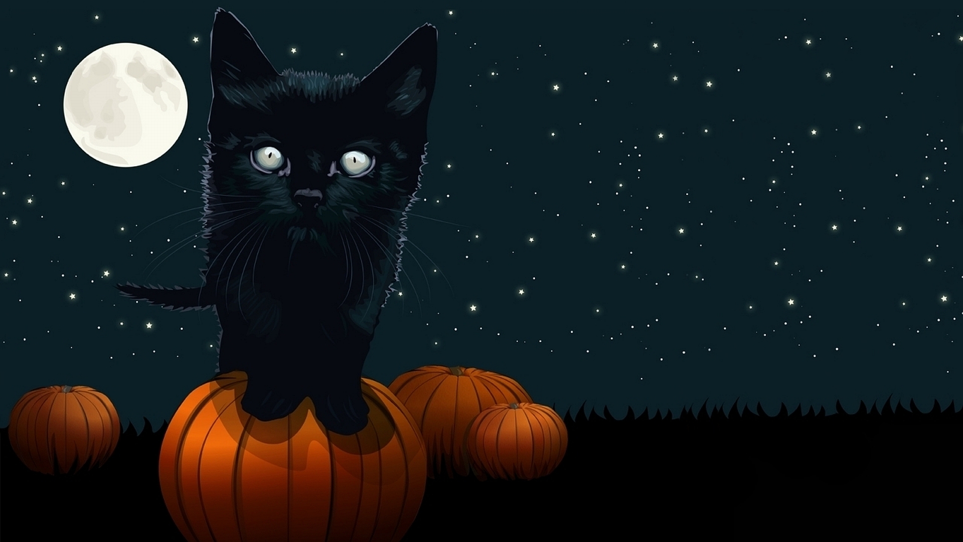 Halloween 1920x1080 008 Kot, Dynie, Noc, Ksiezyc