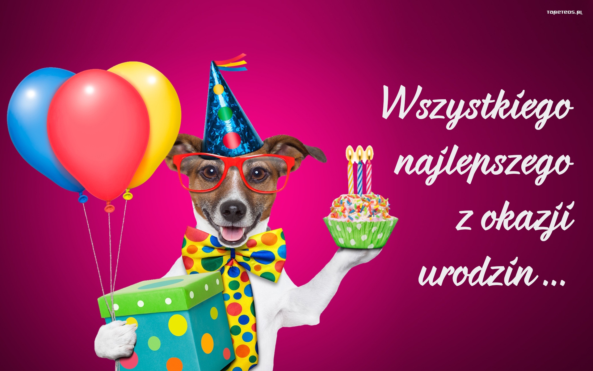 Urodziny, Happy Birthday 092 Pies, Torcik, Babeczka, Balony, Prezent, Zyczenia