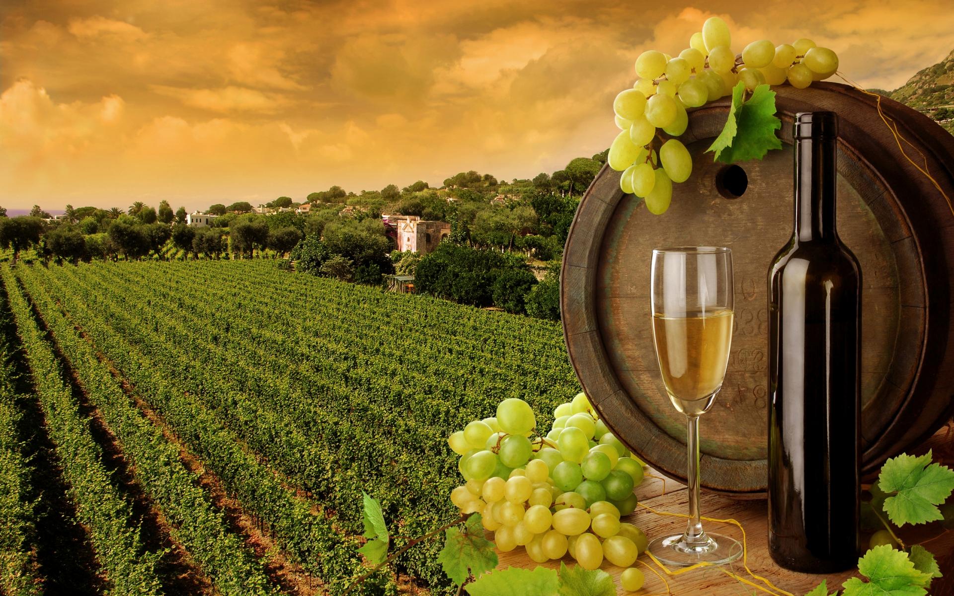 Wino 1920x1200 019 winogrona, beczka, krajobraz