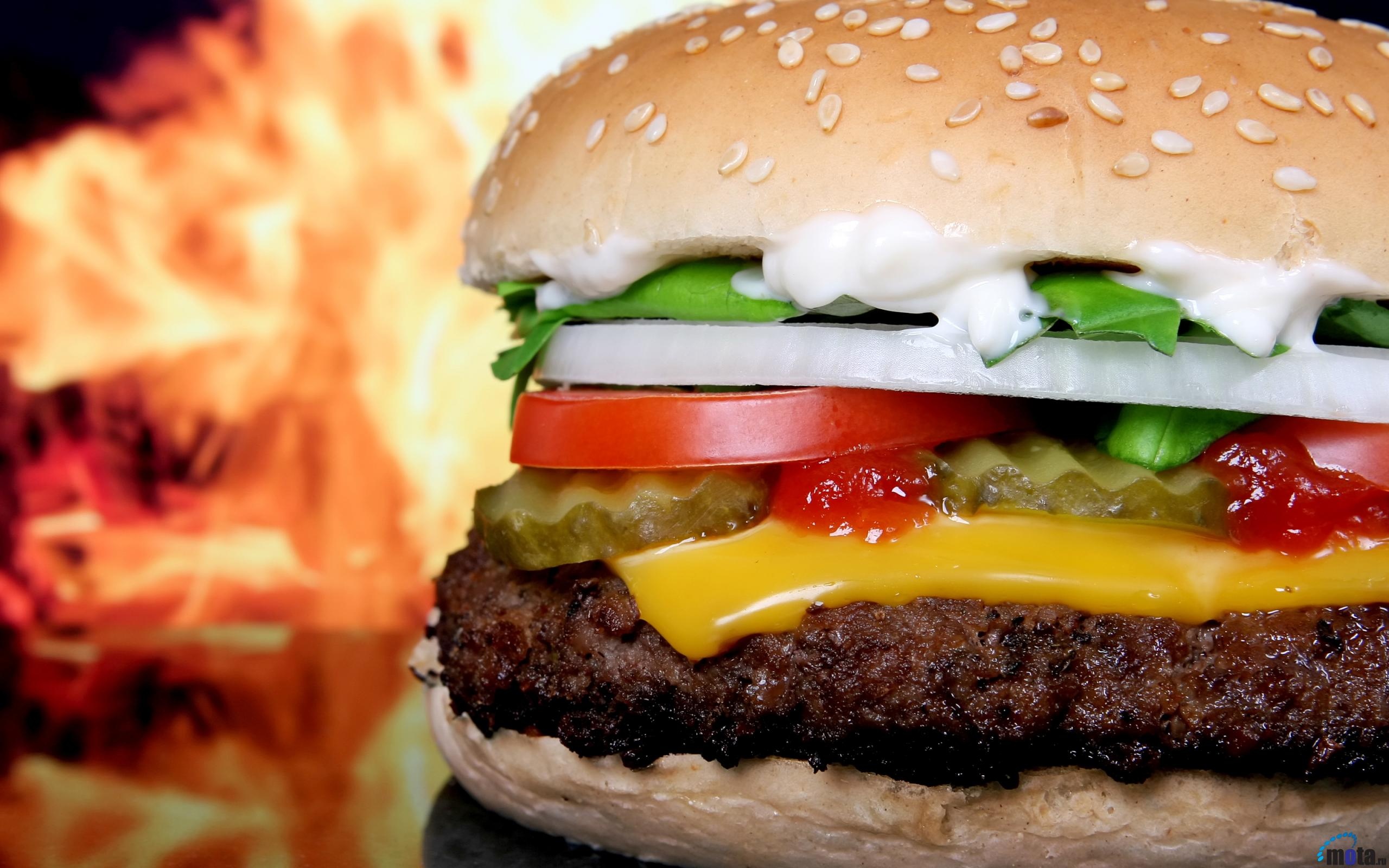 Hamburger 2560x1600 002