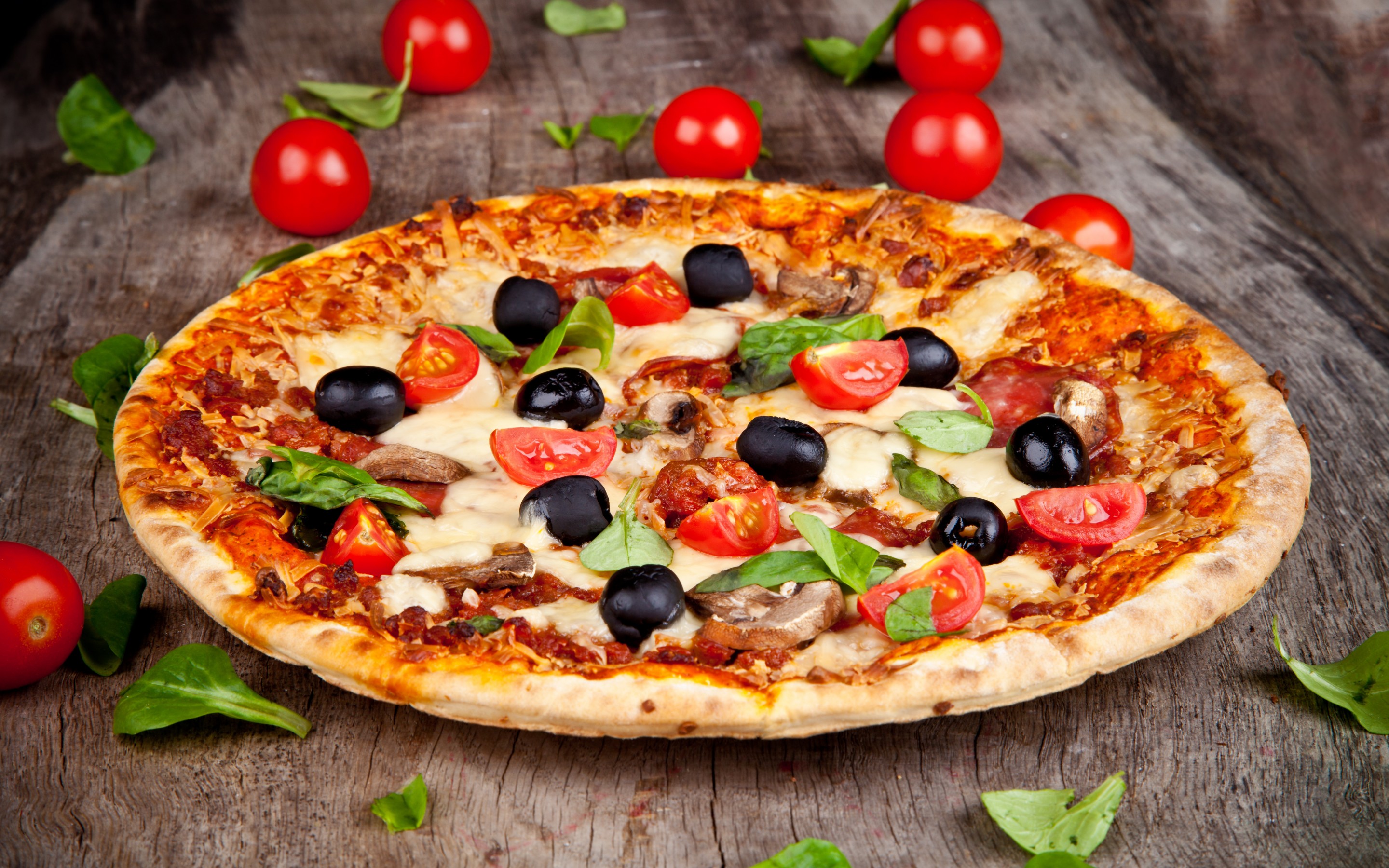 Pizza 013 Fast Food