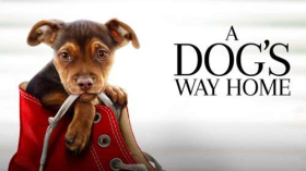 O psie, ktory wrocil do domu (2019) A Dogs Way Home 001