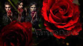 Pamietniki wampirow, The Vampire Diaries 003