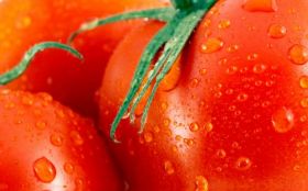 Pomidory, Warzywa 018