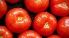 Pomidory, Warzywa 025