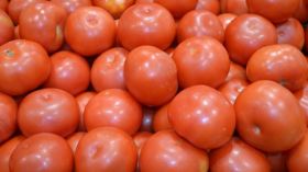 Pomidory, Warzywa 026