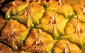 Ananas, Owoce 002