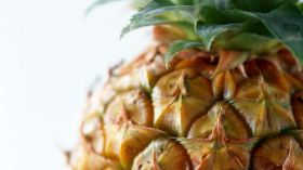 Ananas, Owoce 005