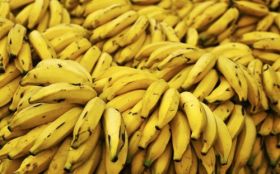 Banany, Owoce 001