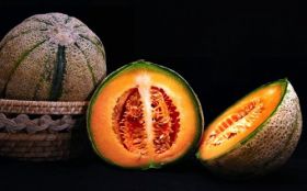 Melon, Owoce 004