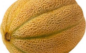 Melon, Owoce 008