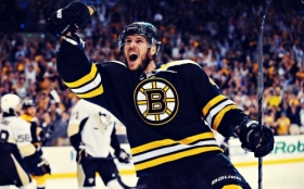 Boston Bruins 021 David Krejci, NHL, Hokej