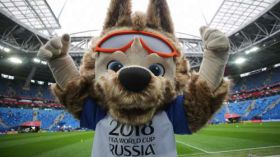 FIFA World Cup Russia 2018 012 Zabivaka, Maskotka, Murawa, Stadion