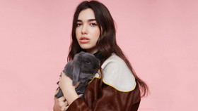 Dua Lipa 002