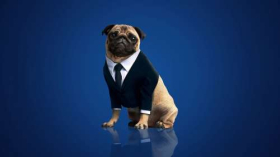 Men in Black International (2019) 011 Pies, Mops, Frank the Pug