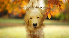 Był sobie pies (2017) A Dog's Purpose 002
