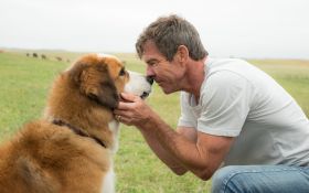 Był sobie pies (2017) A Dog's Purpose 008 Dennis Quaid jako Dorosly Ethan