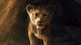 Krol Lew (2019) The Lion King 017 Simba