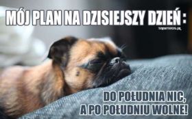 Moj plan na dzisiejszy dzien - Do poludnia nic, a po poludniu wolne