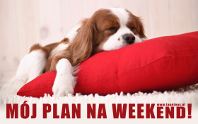 Mój plan na weekend 001