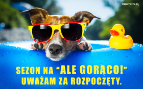 Sezon na Ale Gorąco! uważam za rozpoczęty, Pies, Okulary, Kaczuszka, Woda