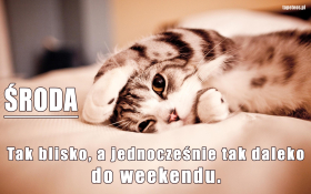 Środa - Tak blisko, a jednocześnie tak daleko do weekendu