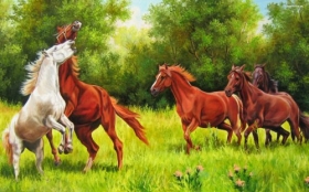 Konie 118 Obraz, Natura