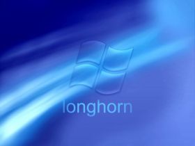 Longhorn 15