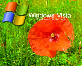 Vista 10