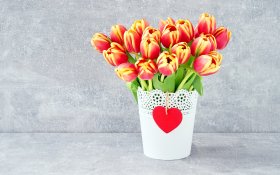 Walentynki, Milosc 1343 Tulipany Czerwono - Zolte, Doniczka, Serce
