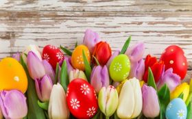 Wielkanoc 426 Pisanki, Tulipany
