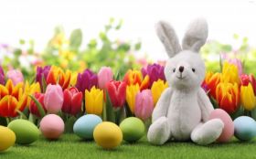Wielkanoc 429 Zajaczek, Tulipany, Pisanki