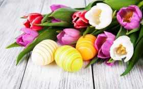 Wielkanoc 720 Pisanki, Kolorowe Tulipany