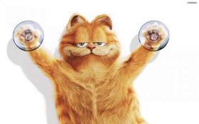 Humor 1920x1200 096 garfield