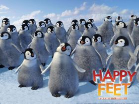 Happy Feet Tupot malych stop (4)