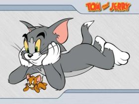 Tom and Jerry 13