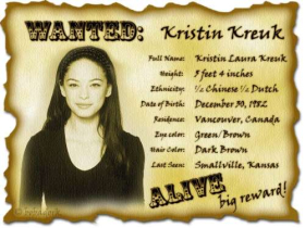 Kristin Kreuk 14