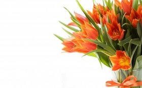 Tulipany 002 Kwiaty, Bukiet, Wazon, Wiosna