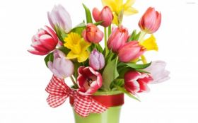 Tulipany 005 Wiosna, Kwiaty, Bukiet, Wstazka