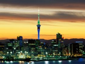 Evening Glow, Auckland, New Zealand - 1600x1200 - ID 24528 - PREMIUM