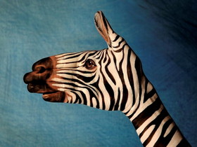 Bodypaint 025 Zebra