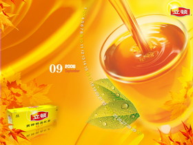 Lipton 03