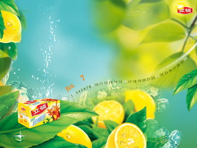 Lipton 05