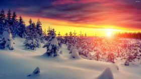 Zima, Winter 202 Choinki, Snieg, Zachod Slonca, Snieg